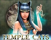 Temple Cats Temple Cats
