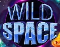Wild Space Wild Space