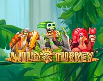 Wild Turkey Wild Turkey