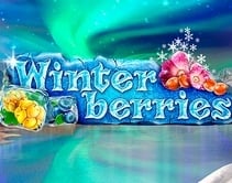 Winterberries Winterberries