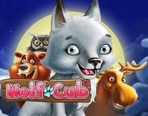 Wolf Cub Wolf Cub