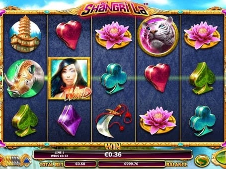 Выигрышная комбинация с диким символом в Shangri La