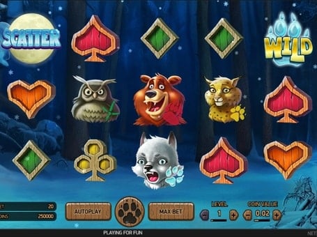 Онлайн слот Wolf Cup - Scatter и Wild символы Scatter и Wild символы в онлайн слоте Wolf Cup