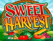 Sweet Harvest Sweet Harvest