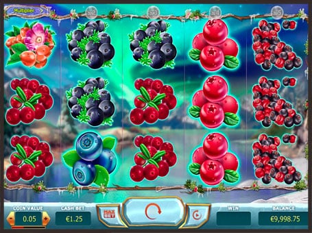 Символы игрового аппарата Winterberries